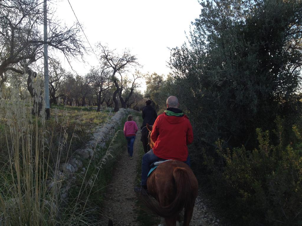 Villa Agriturismo Vita E Natura à Noto Extérieur photo