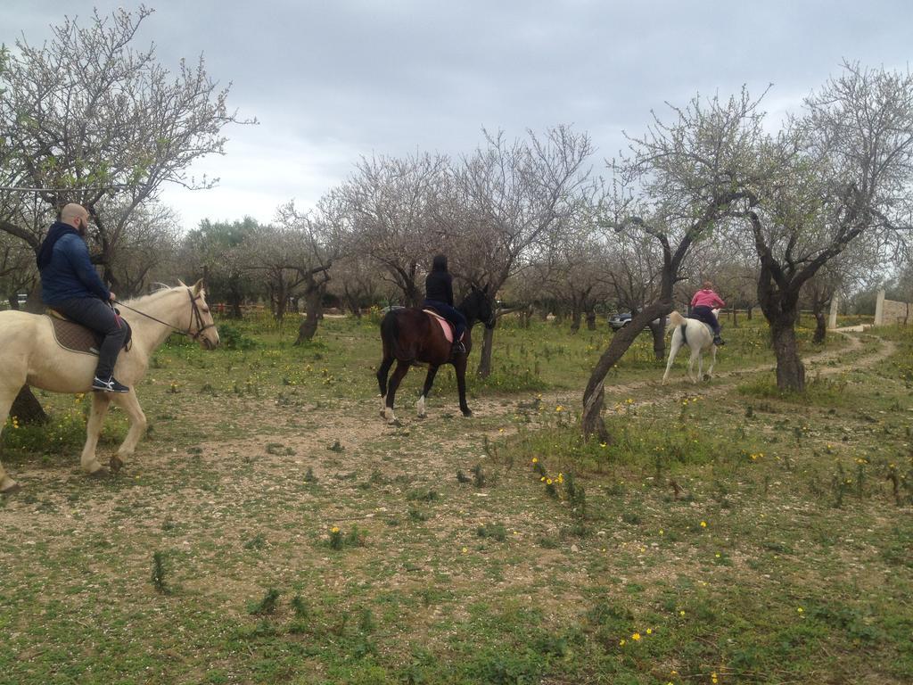 Villa Agriturismo Vita E Natura à Noto Extérieur photo
