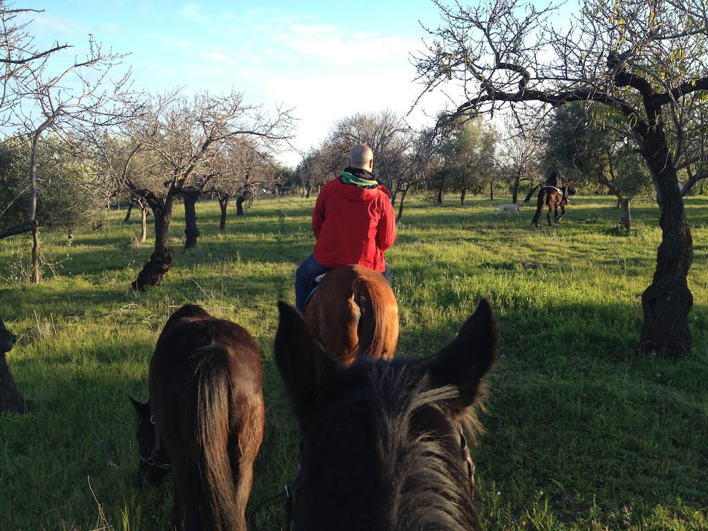 Villa Agriturismo Vita E Natura à Noto Extérieur photo