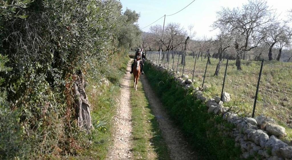 Villa Agriturismo Vita E Natura à Noto Extérieur photo